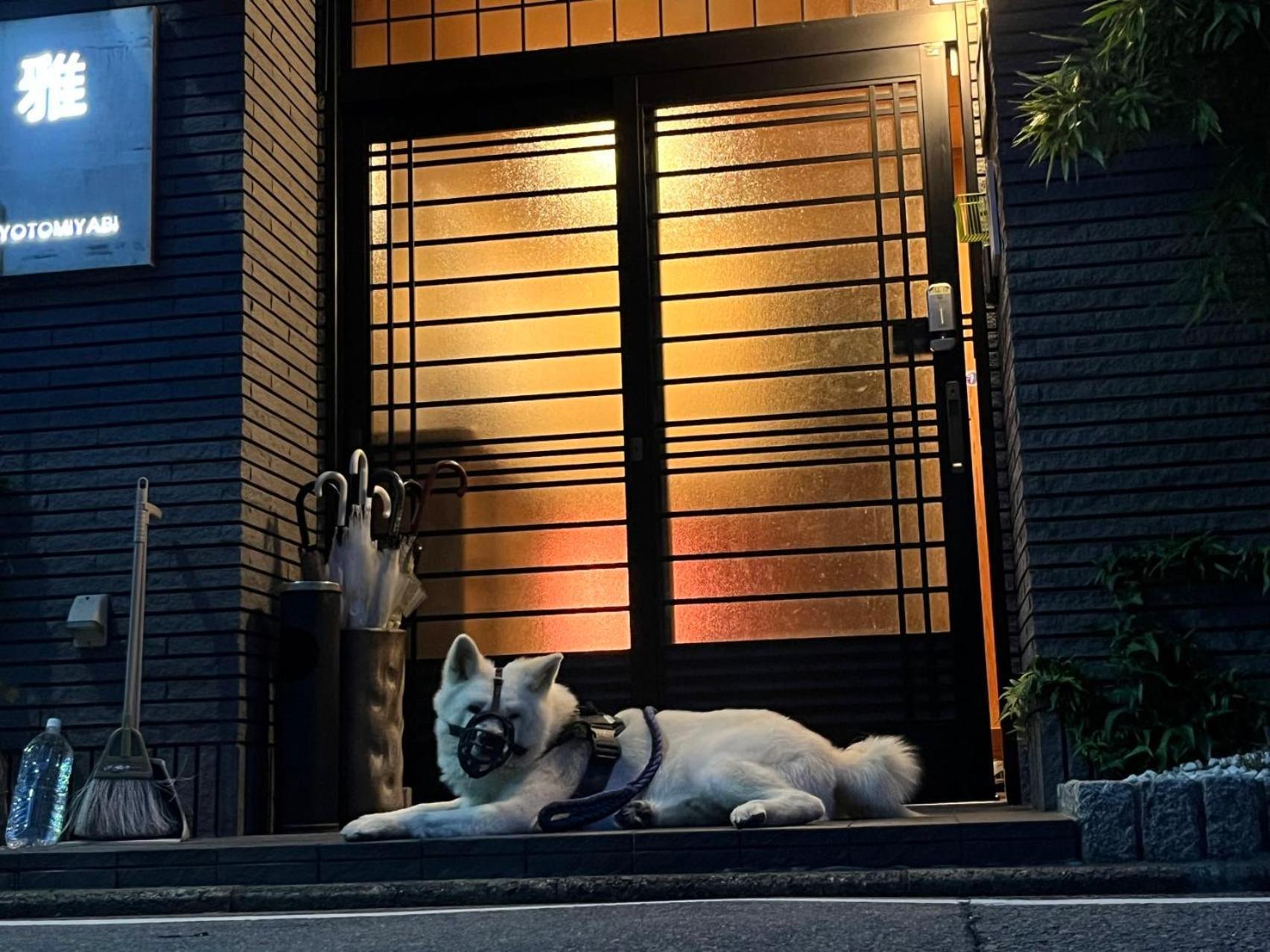 雅 Hotel Kyoto Bagian luar foto